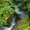 Lydford Gorge