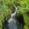 Lydford Gorge