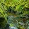 The gorge narrows