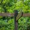 Lydford Gorge Hiking Signs