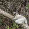 Isalo National Park