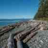 Bere Point - Malcolm Island