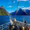 Milford Sound Cruise