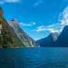 Milford Sound Cruise