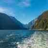 Milford Sound Cruise