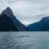 Milford Sound Cruise and kayaks