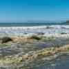 Moeraki Boulders at high tide