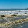 Moeraki Boulders at high tide