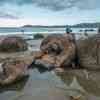 Moeraki Boulders at low tide