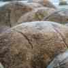 Moeraki Boulders