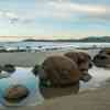 Moeraki Boulders