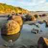 Moeraki Boulders at sunrise during low tide