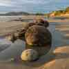 Moeraki Boulders at sunrise during low tide