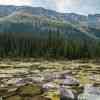 Moraine Lake to Consolation Lakes Hike