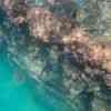 Tangalooma Ship Wreck under water