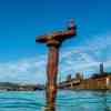 Tangalooma Ship Wreck during low tide