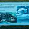 Information Board