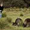 Kangaroo Island