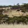 Kangaroo Island