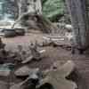 Point Lobos