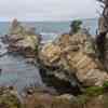 Point Lobos