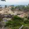 Point Lobos