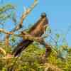 Galapagos Islands