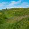 Island of Staffa