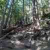 Stawamus Chief Hike