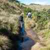 Horton Plains