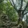 Taiwan Guide