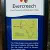 Evercreech Rainforest 