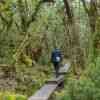 Cradle Mountain N.P.
