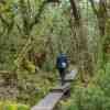 Cradle Mountain N.P.