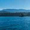 Vancouver Island Scenery from the Boat