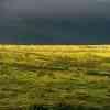 Ngorongoro Landscape