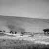 Ngorongoro  crater landscape