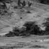 Maasai settlement in the crater