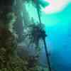 Wreck Diving