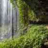 Chrystal Shower Falls Dorrigo