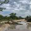 Etosha Landscape