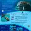 Manatees Information Board