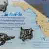 Manatees Information Board