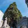 Recoleta Cemetery