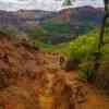 Waimea Canyon