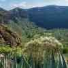 Caldera de Bandama