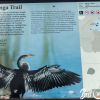 Anhinga Trail