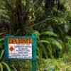 Franz Josef rainforest