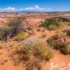 Hike to Cosmic Ashtray