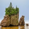 Hopewell Rocks at HighTide